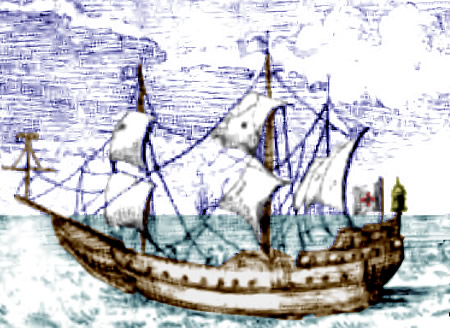 Shelvocke's Speedwell